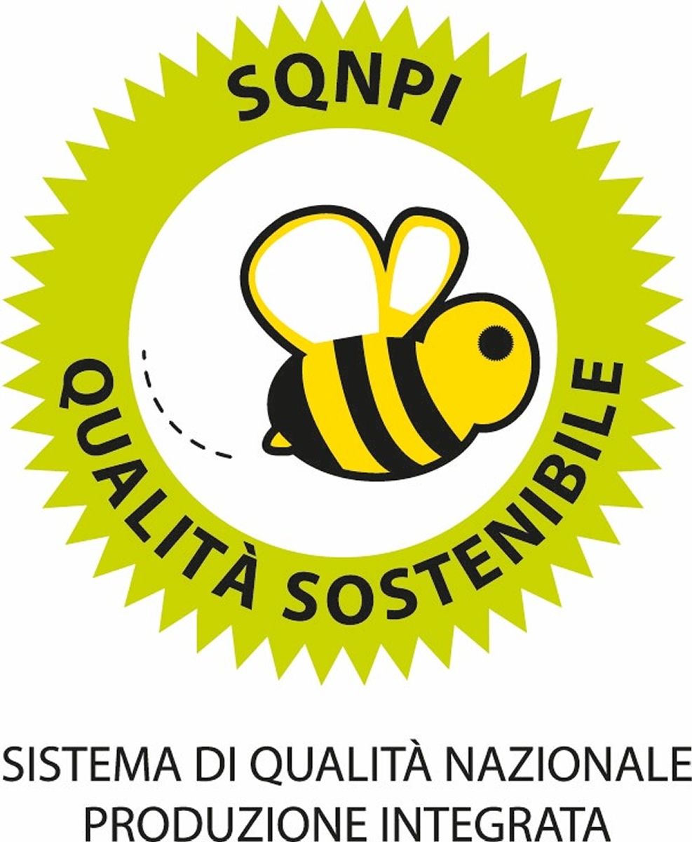 Bidoli è certificato SQNPI!