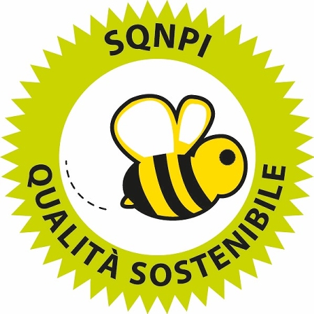 Bidoli is SQNPI certified!